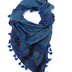 Handloom Pure Pashmina Shawl-Ekat Reversible